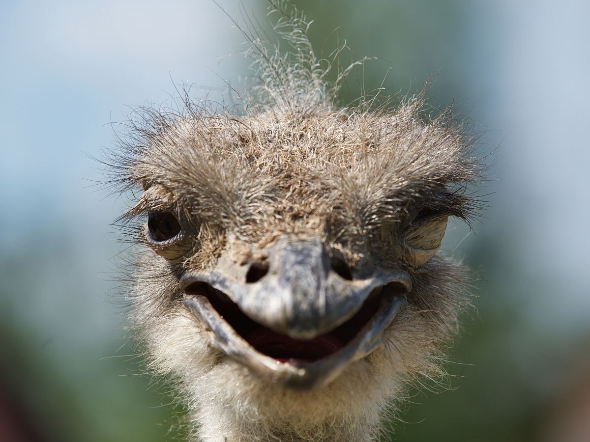 Engage, don’t hide (Part 2…)